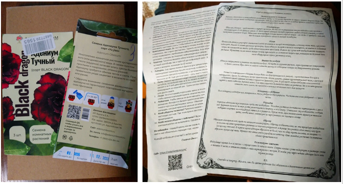 первый вариант