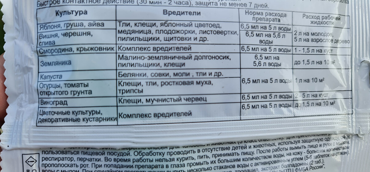 Я вовремя их остановила. Трипсы на розах. Моя стратегия борьбы | Юлия 🌸 ...