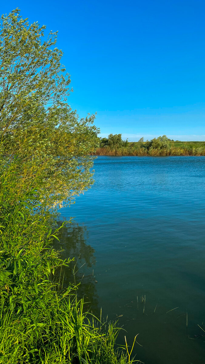 Наше любимое место.