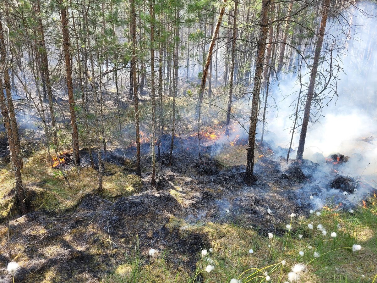    Фото с места тушения пожара
