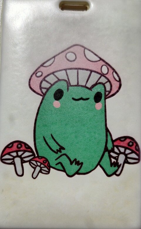 Лягуха! ( их две у меня)