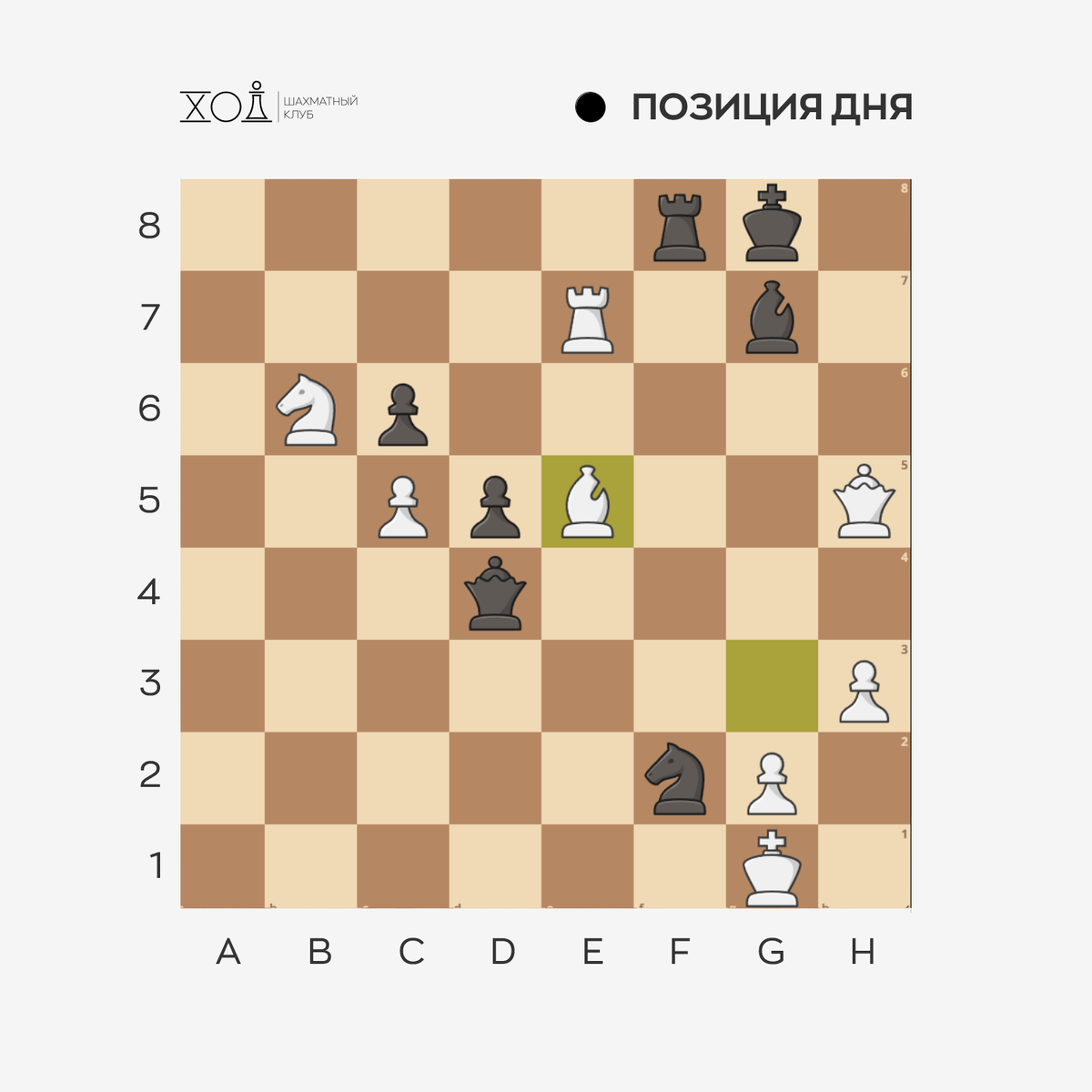 Шахматы в Пятигорске