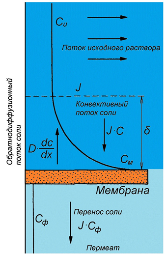 Распределение задерживаемого мембраной вещества у поверхности мембраны