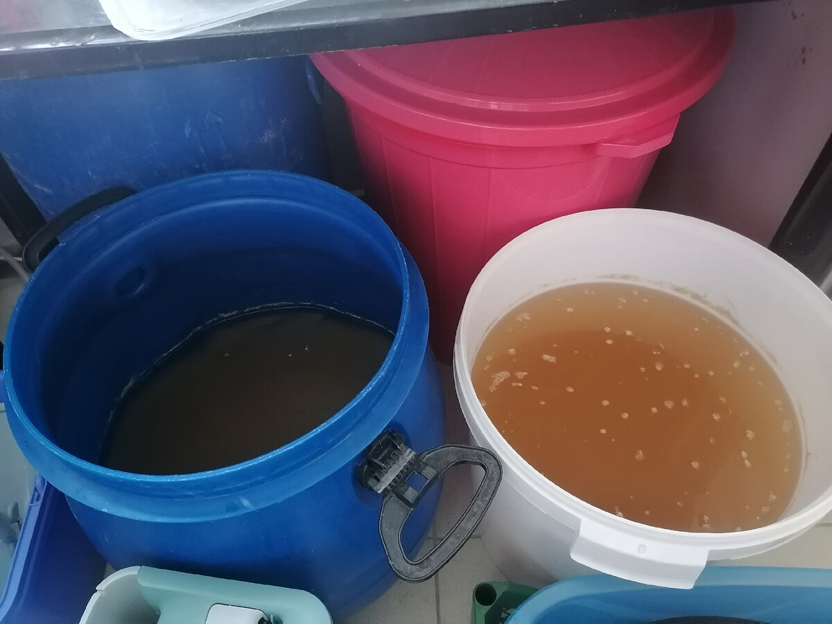 Осветлённая и готовая к перегонке.