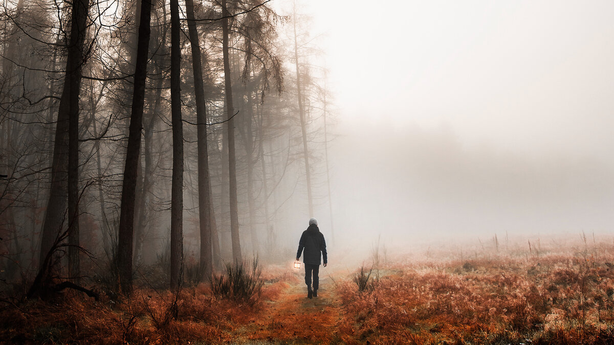 https://ru.freepik.com/free-photo/man-walking-in-a-misty-woods-mobile-phone-wallpaper_19075443.htm