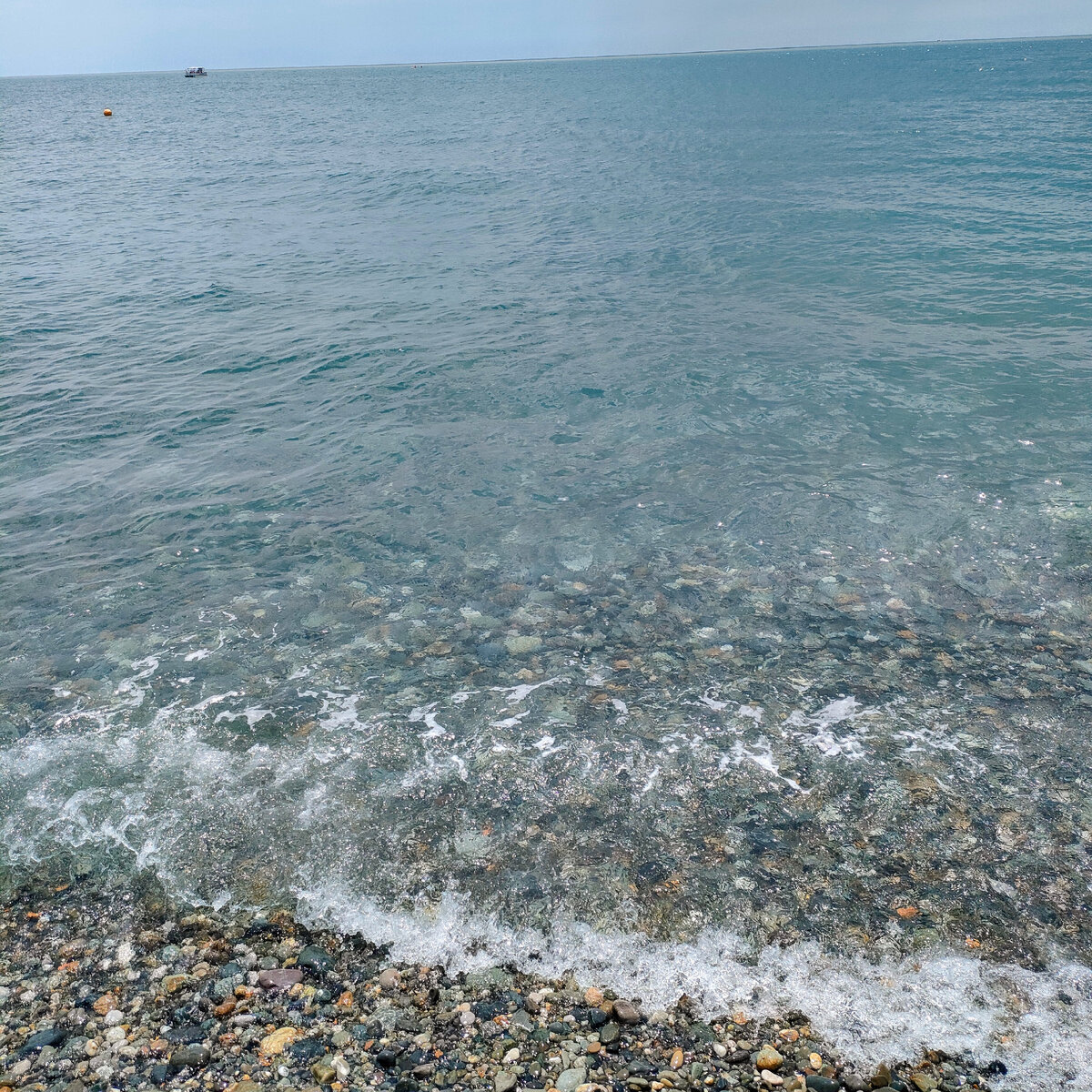 После потопа море у берегов Сочи стало опасным для купания: Новости