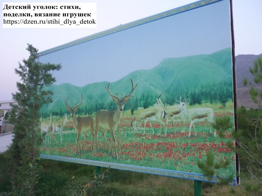 Плакаты на территории Музея