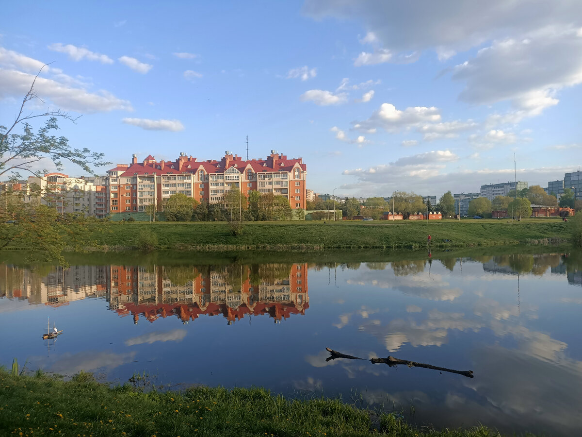 Пруд в парке. Фото автора.