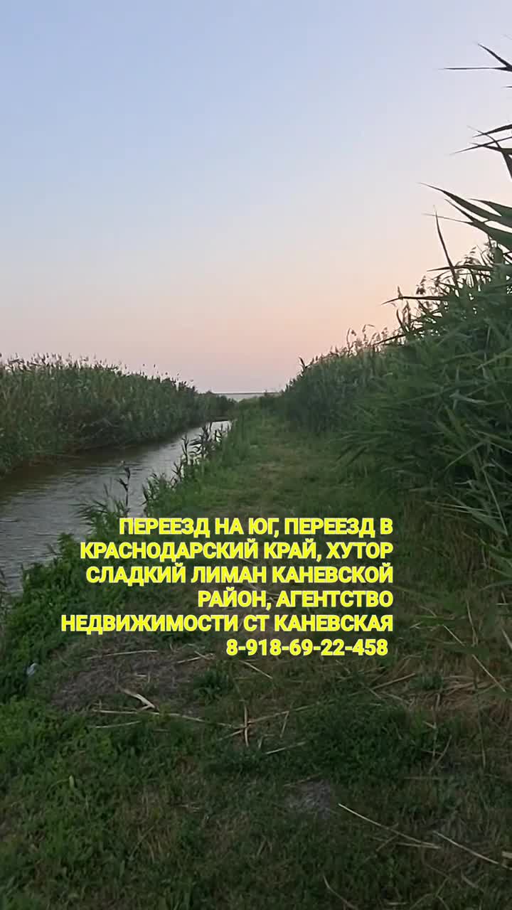 Арболит Юг , Строим Дома из Арболит Блока , Арболит Борода | х Сладкий Лиман  Каневской Район, Недвижимость ст Каневская 8-918-69-22-458 | Дзен