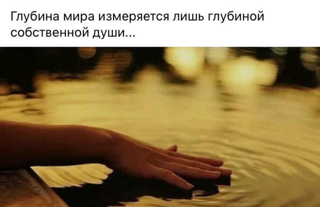 Смешные статусы про жизнь. Ничего не принимайте блищко к сердца. Все что хочешь приму. Милые пикчи с котами в ванной. Ремарк не принимай ничего близко к сердцу.