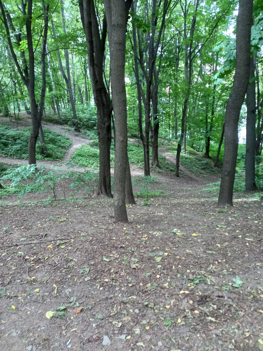 Фото автора.