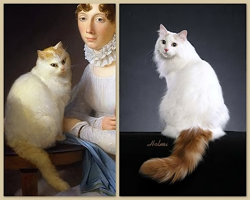 В средневековье никто не называл котов «ванскими» — обычно просто турецкими, ангорскими или белыми кольцехвостыми котами. 