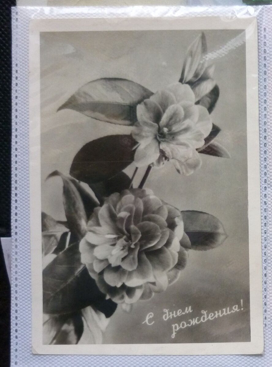 Советские летние открытки - 59 фото