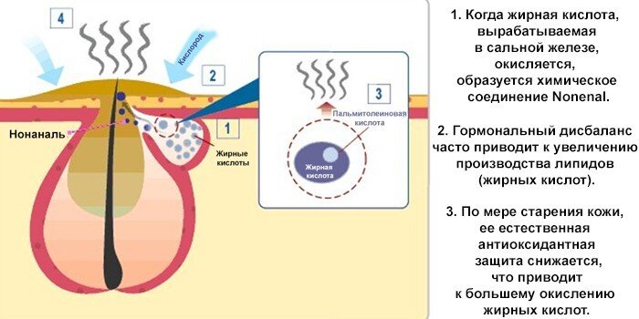 Запах старости: ученые рассказали, почему пожилые люди плохо пахнут « ОО 