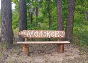    Фото: Пресс-служба Комитета лесного хозяйства Московской области