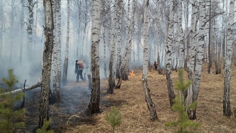     В регионе из-за погодных условий значительно увеличивается число пожаров, которые быстро распространяются, в результате чего на севере края уже тушат шесть очагов, а в регионе привлечены дополнительные силы и техника.