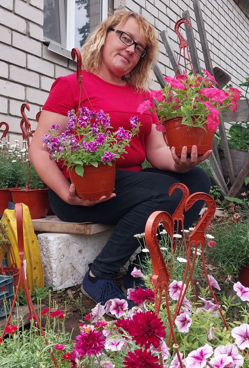 Петуния в кашпо