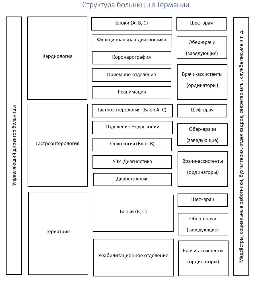 Схематичная структура больницы. Примечание: в этой структуре отмечены только терапевтические отделения/блоки; отсутствуют хирургия, урология, позвоночная хирургия, ортопедия, а также анестезиология, подразделение которых примерно такое же, как на схеме.
