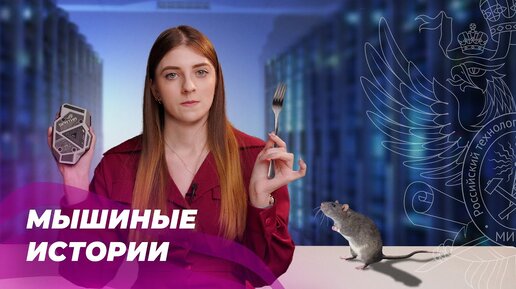 Tải video: КОМПЬЮТЕРНЫЕ МЫШИ, КОТОРЫЕ ТЫ НИКОГДА НЕ КУПИШЬ