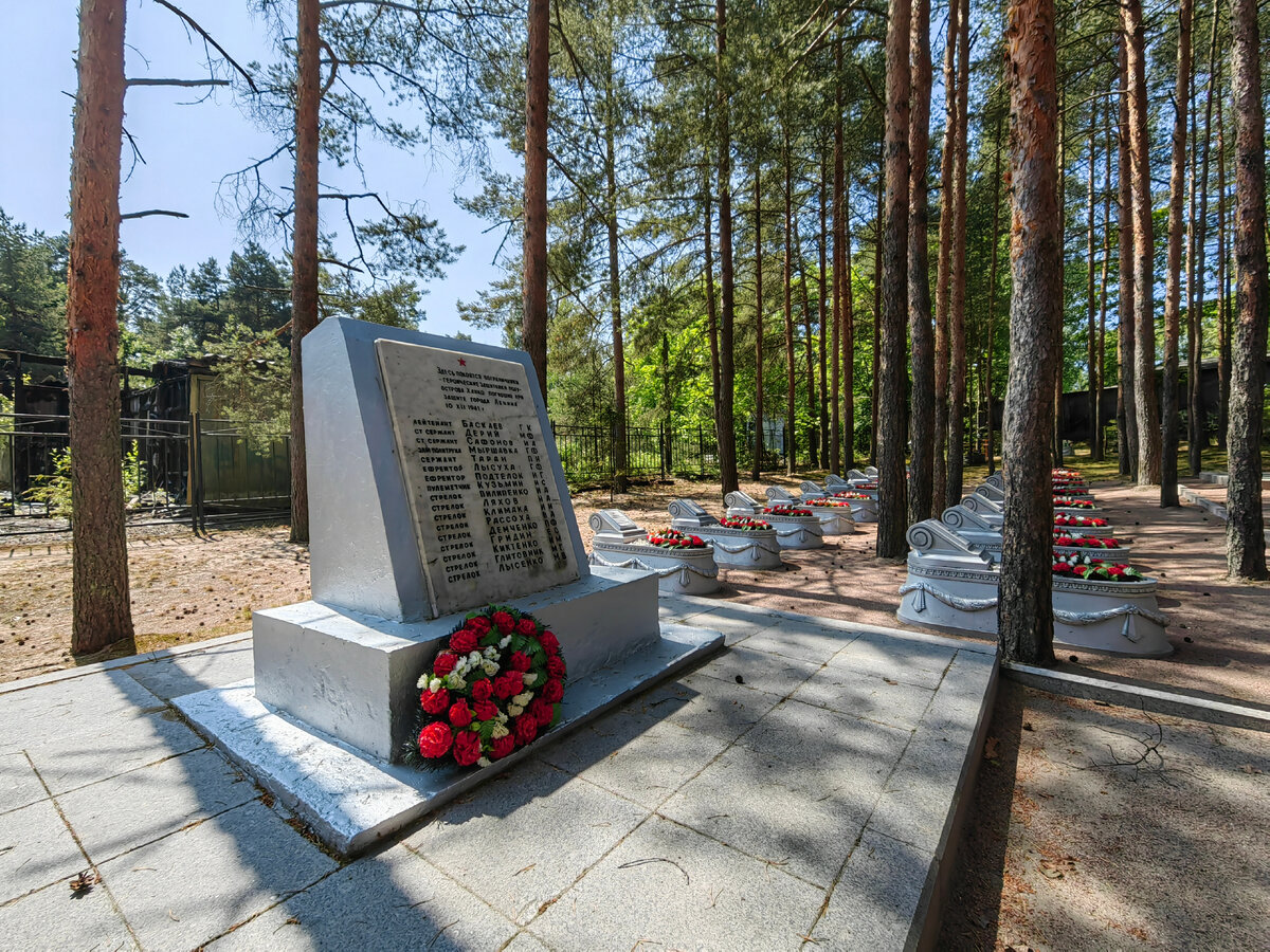 военный санаторий тарховский