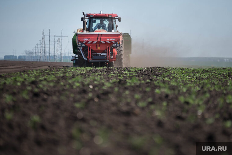 Аграрная 9. Упадок сельскохозяйственного производства. Agriculture clearing and overgrazing.