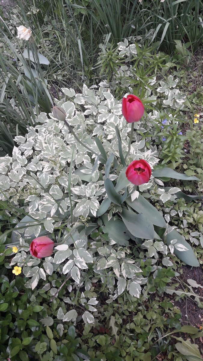 фото автора канала