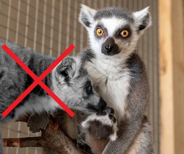 Источник фото: Парк Лога / tm.com