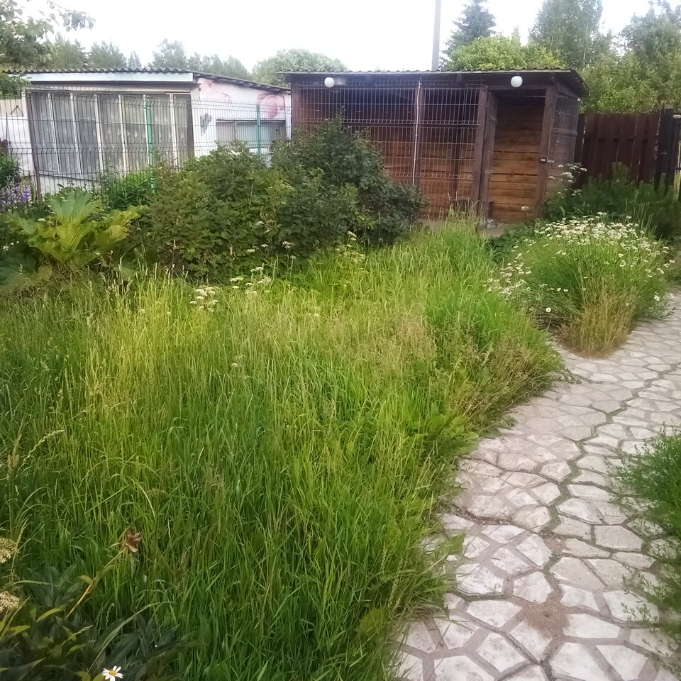 Берегись трава)