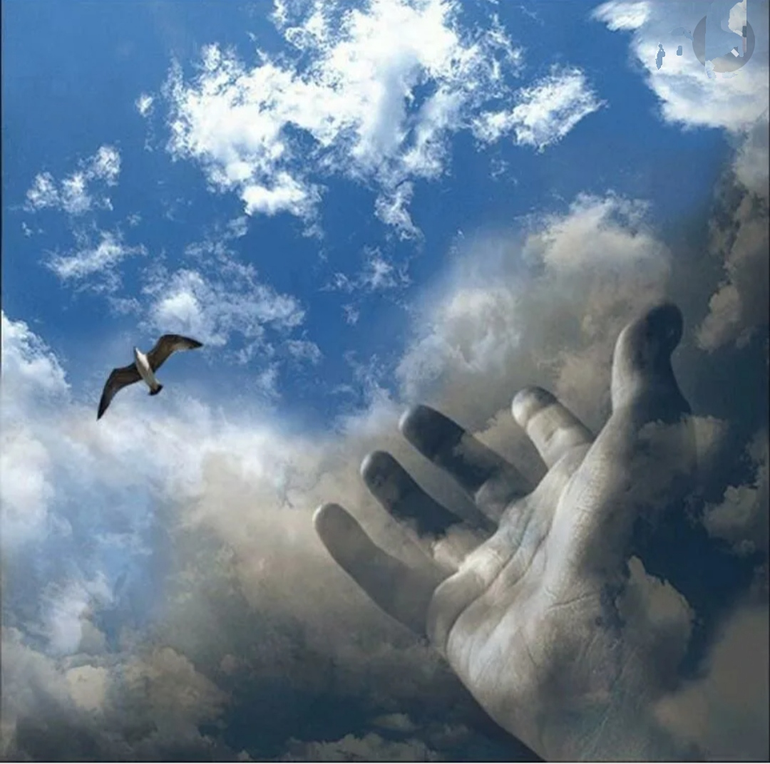 Никуда не улетает. Душа улетает. Птица улетает в небо. Летать в облаках. Душа улетает в небо.