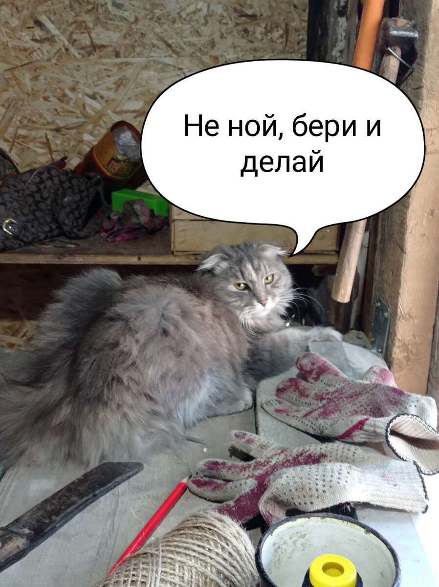 Буся подрабатывает тренером по саморазвитию