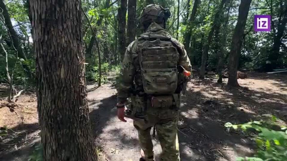 Днр и лнр карта границы