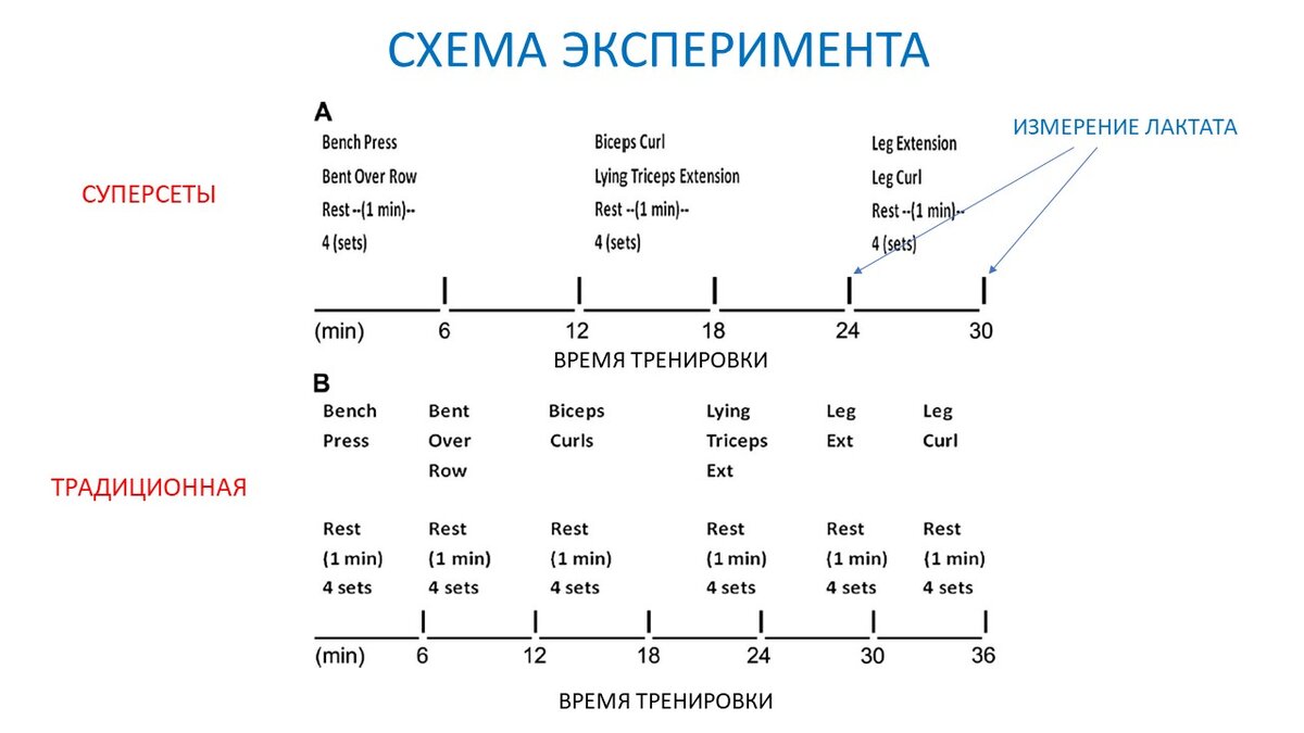 Рисунок 1. Два тренировочных протокола.
