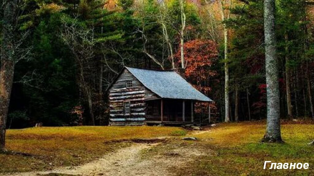 Изображение из открытых источников