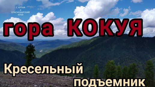 АЛТАЙ. КОКУЯ в июле.⛰ Подъем на смотровую площадку.