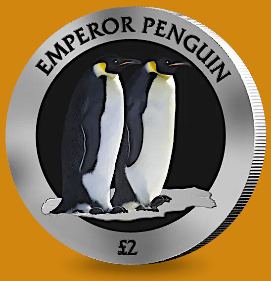 Реверс монеты "Императорский пингвин" 2023 г.в.