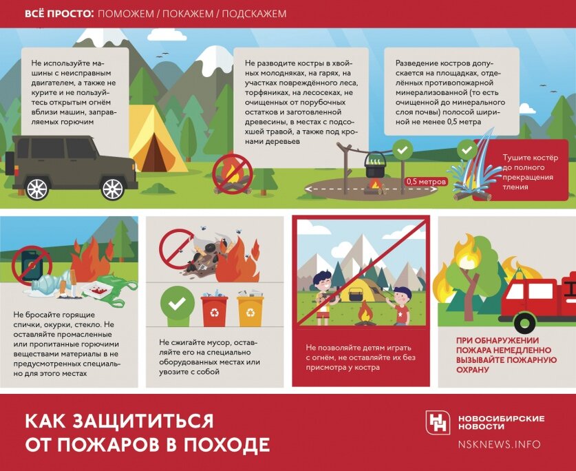 Инфографика: nsknews.info