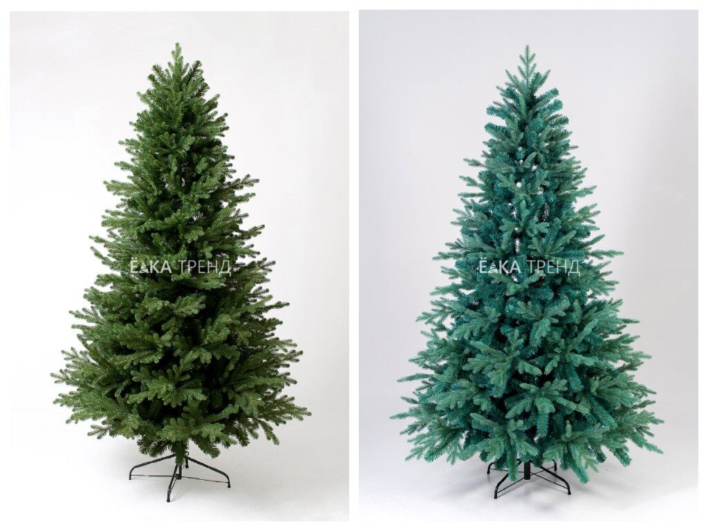 ели Кредо и Россо