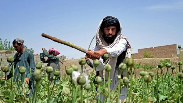    © AFP2023 / SANAULLAH SEIAM