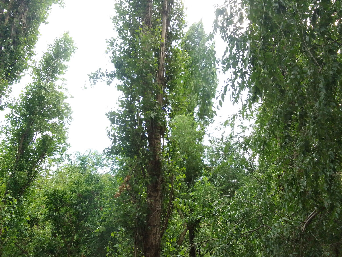 Вид из окна