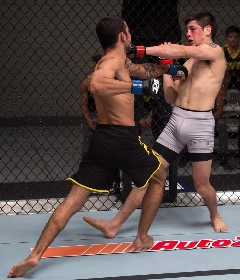 алешандре пантожа боец