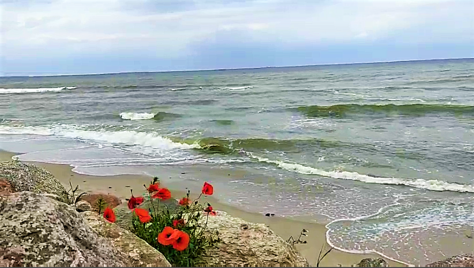 Температура воды в балтийском море зеленоградск. Балтийское море Зеленоградск. Балтийское море Зеленоградск фото. Июль на Балтийском море. Балтийское море в июле.