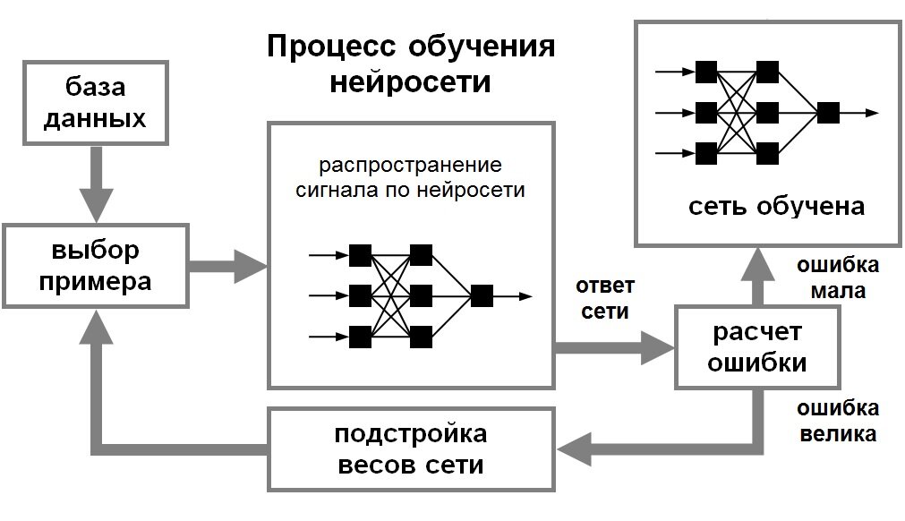Итоговый проект 9 класс нейросеть