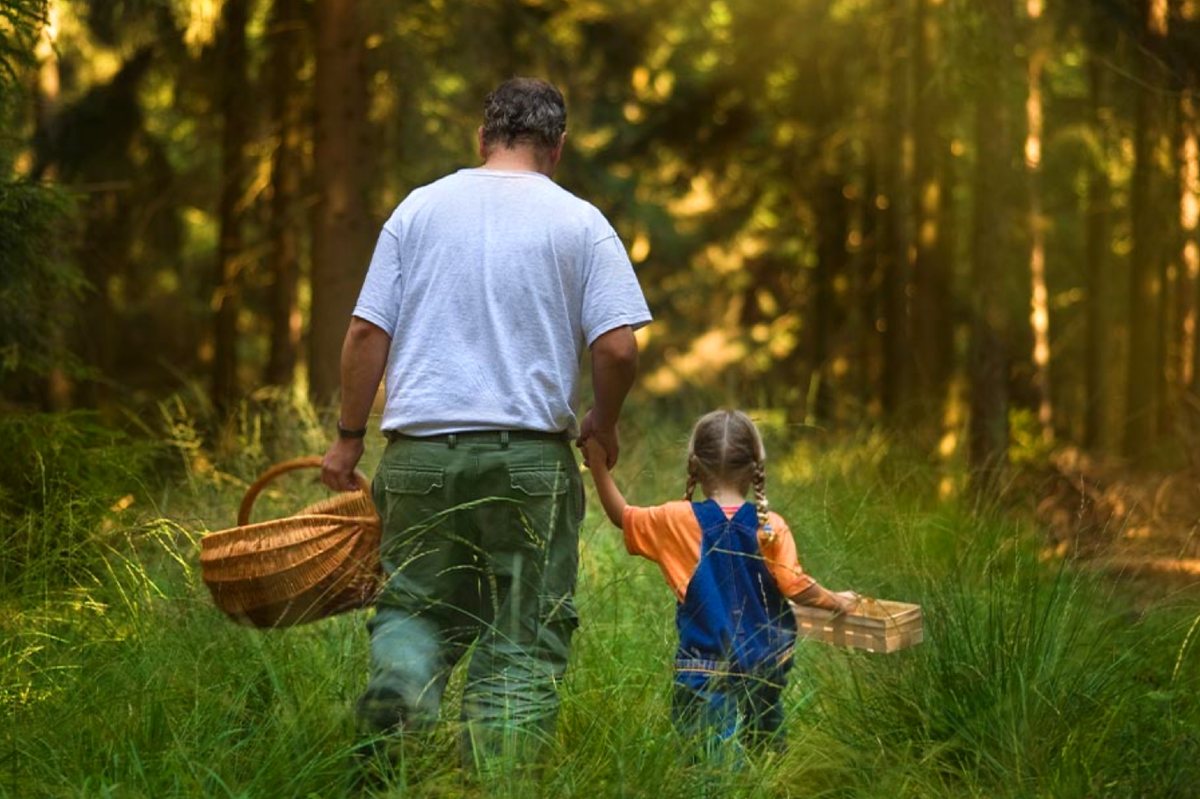 Дети и природа. Прогулка в лесу дети лето. Прогулка на природе. Дети на природе кв лесу. Папа и дочь в душе