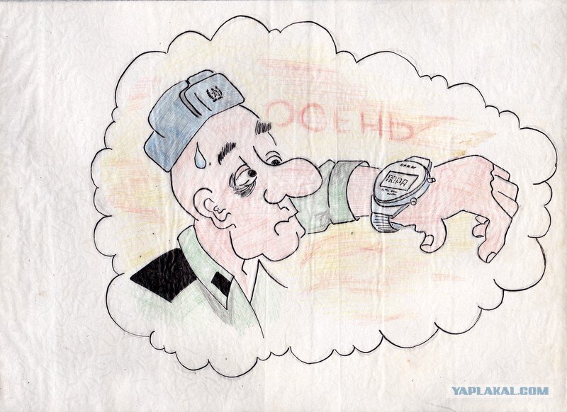 Фото: https://www.yaplakal.com