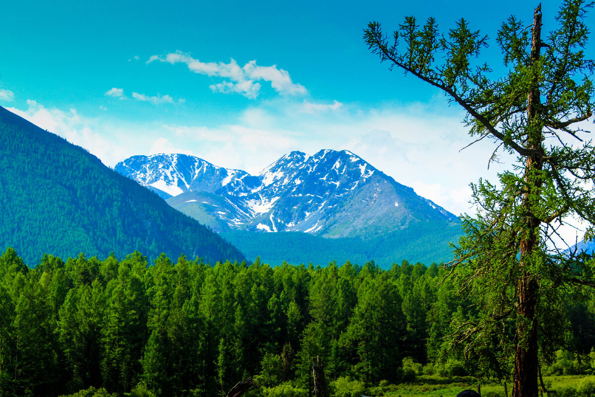 горный Алтай
