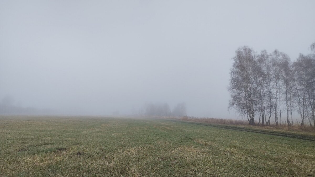 Раннее утро в лагере