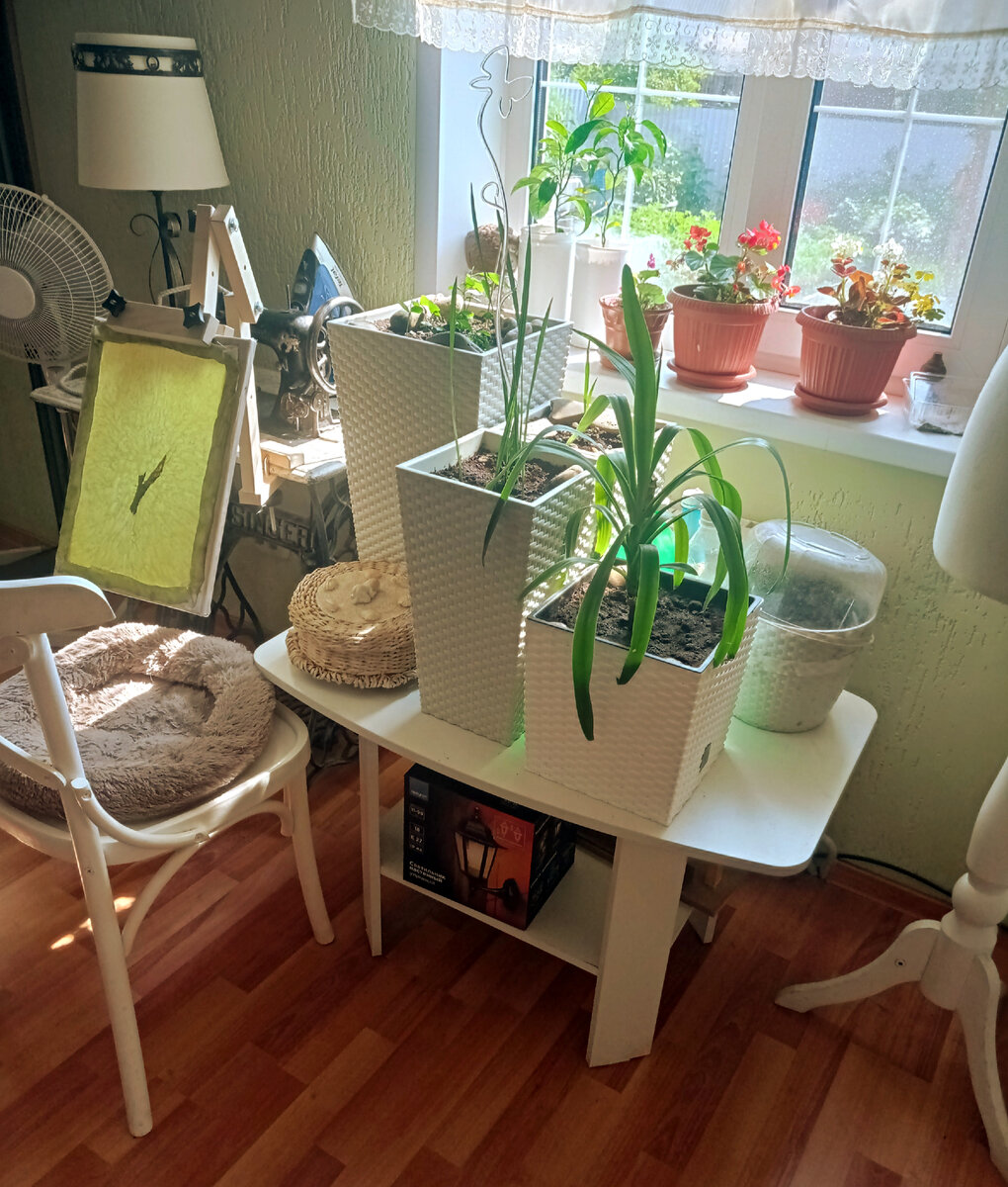 Боже, когда я уже вышлю  третий цветок? 