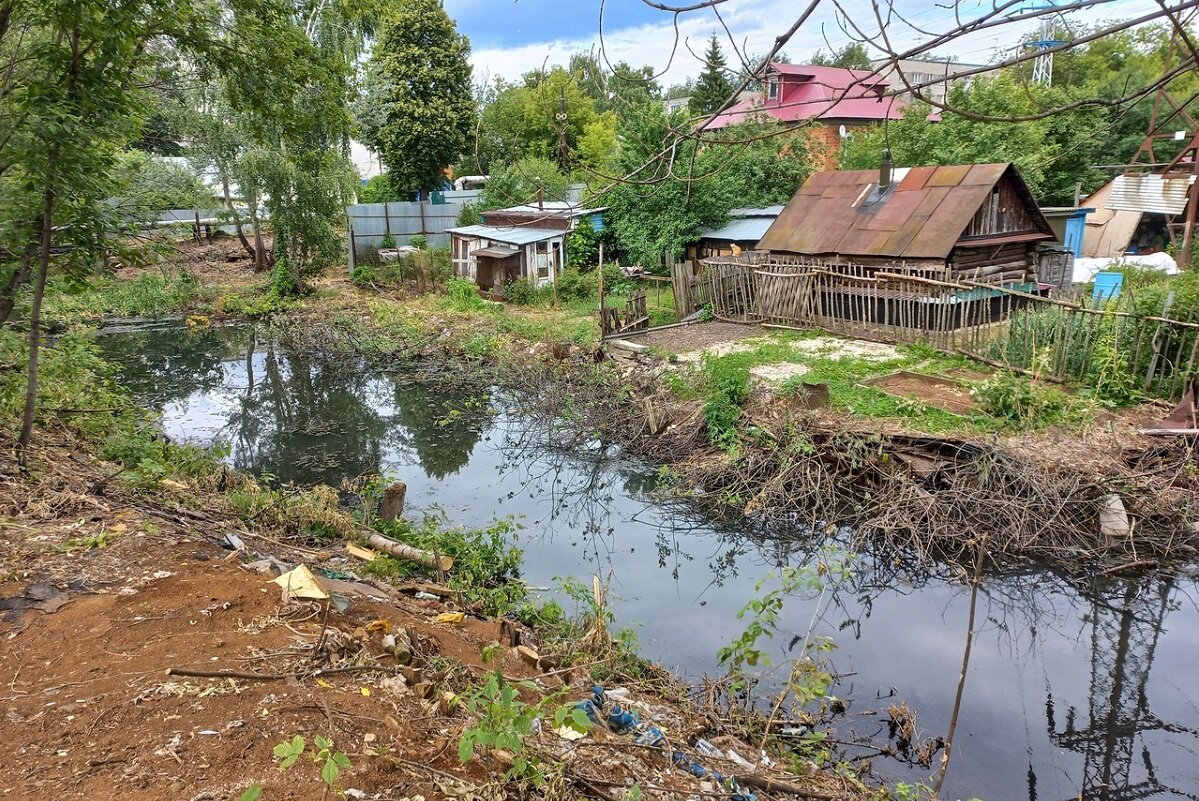 Благоустройство берегов реки Борзовка в Ленинском районе разделило жителей  на два лагеря | Нижегородская правда | Дзен