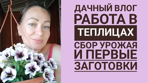 ДАЧНЫЙ ВЛОГ. РАБОТЫ В ТЕПЛИЦАХ. ПЕРВЫЙ СБОР УРОЖАЯ СМОРОДИНЫ И ОГУРЦОВ. АРБУЗЫ РАСТУТ. КРУТИМ БАНКИ)