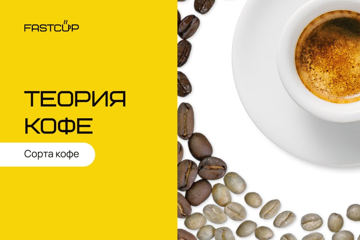 Сорт кофе 8. Теория кофе. кофе в зернах для кофейни. сорта кофе и их характеристики. carpaccio coffee спб.
